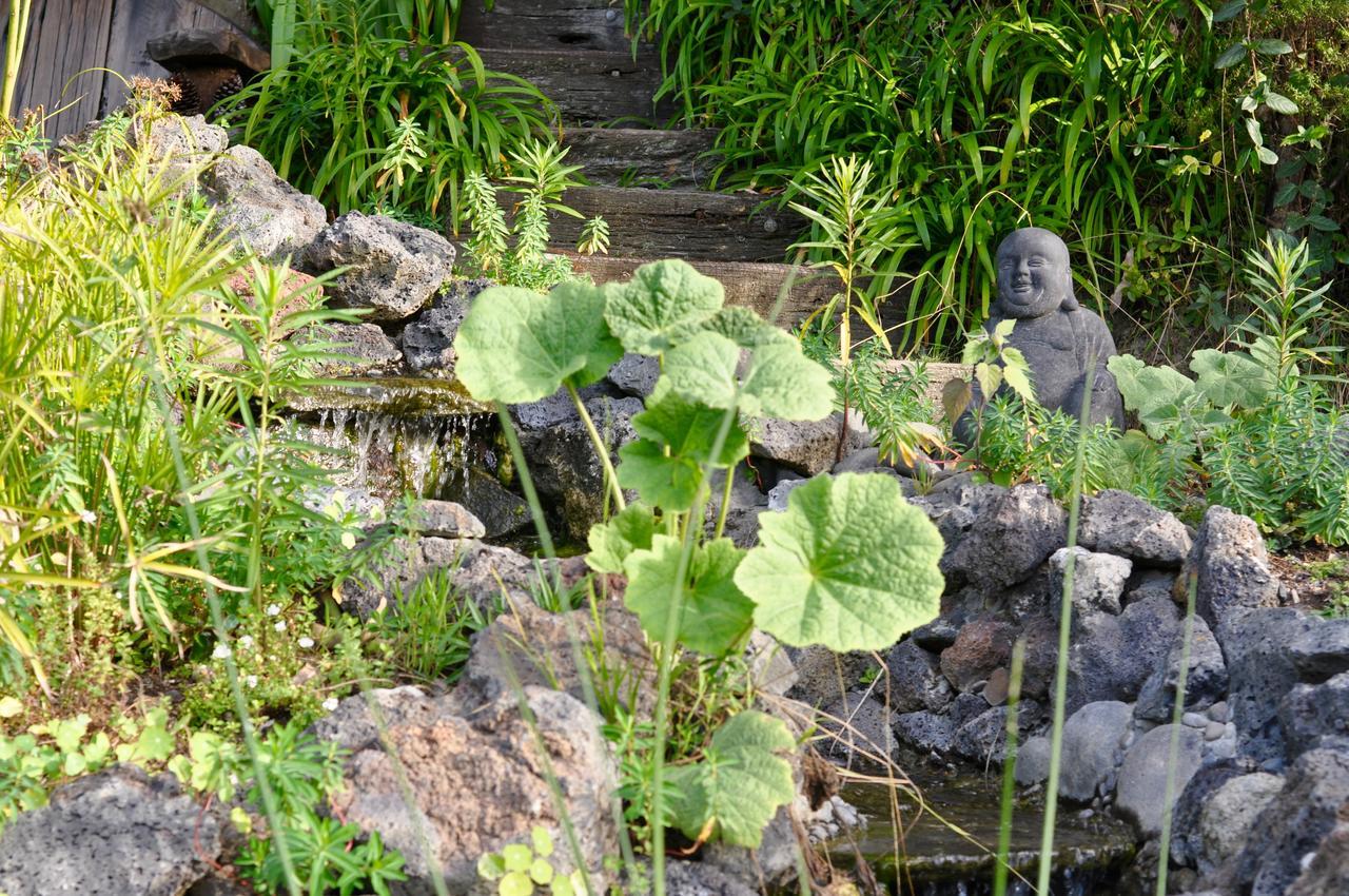 Kawai Purapura Yoga Retreat Centre Hotel Auckland Exterior foto